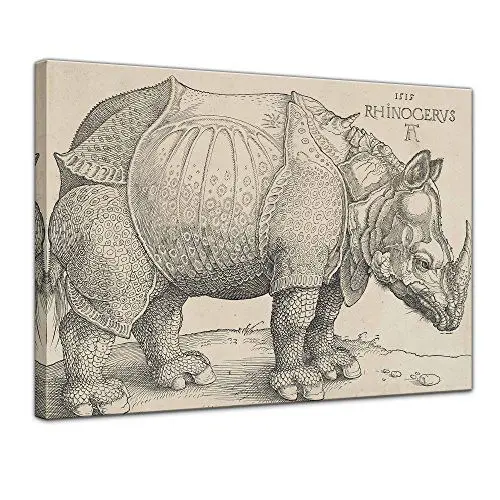 Produktbild: Bilderdepot24 Bild auf Leinwand | Albrecht Dürer Rhinocerus in 40x30 cm als Wandbild | Wand-deko Dekoration Wohnung alte Meister | 180738-40x30