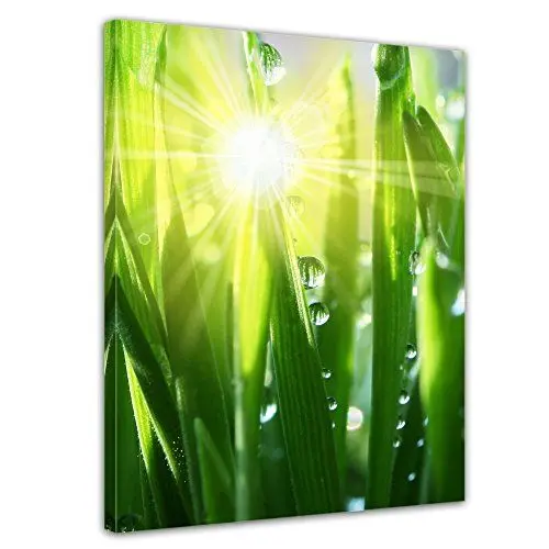 Produktbild: Bilderdepot24 Bild auf Leinwand | Gras 2 in 30x40 cm als Wandbild | Wand-deko Dekoration Wohnung modern Bilder | 200263