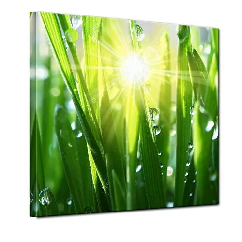 Produktbild: Bilderdepot24 Bild auf Leinwand | Gras II in 40x40 cm als Wandbild | Wand-deko Dekoration Wohnung modern Bilder | 200260