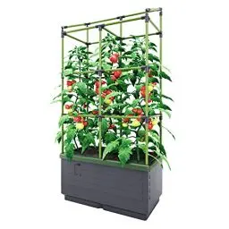 Produktbild: Bio Green Pflanzkübel CITYJUNGLE | Hochbeet für Balkon und Terrasse | Wasserspeicher und Rankhilfe integriert | Blumenkasten für Gemüse und Kräuter | 62 x 33 x 128 cm