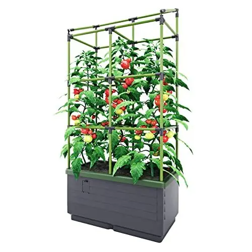 Produktbild: Bio Green Pflanzkübel CITYJUNGLE | Hochbeet für Balkon und Terrasse | Wasserspeicher und Rankhilfe integriert | Blumenkasten für Gemüse und Kräuter | 62 x 33 x 128 cm
