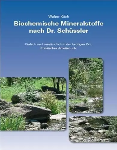 Produktbild: Biochemische Mineralstoffe nach Dr. Schüssler: Einfach und Verständlich in der heutigen Zeit. Praktisches Arbeitsbuch