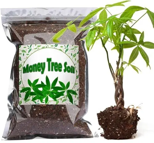 Produktbild: Bio-Geldbaum-Erde Mischung 4L, Zimmerpflanzen-Blumenerde für alle getopften Geldbäume, Gesunde Zimmerpflanzen drinnen züchten