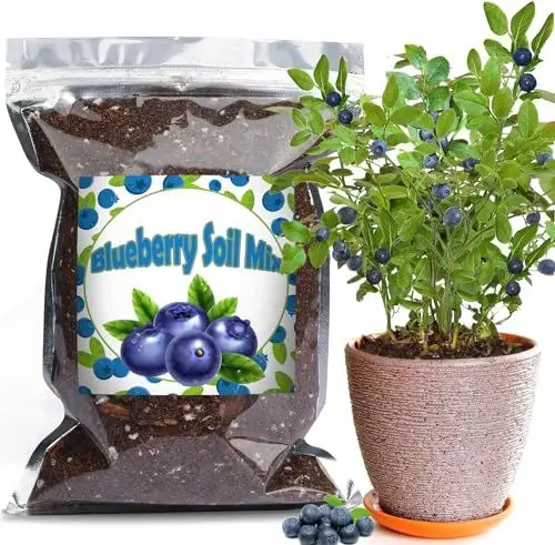Produktbild: Bio-Heidelbeer-Erde Mischung 1L, Zimmerpflanzen-Blumenerde für alle getopften Heidelbeeren, Gesunde Zimmerpflanzen drinnen züchten