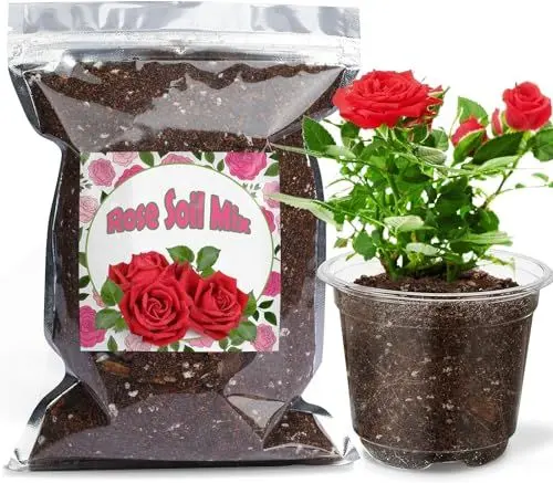 Produktbild: Bio-Rosen-Erde Mischung 10L, Zimmerpflanzen-Blumenerde für alle getopften Rosen, Gesunde Zimmerpflanzen drinnen züchten