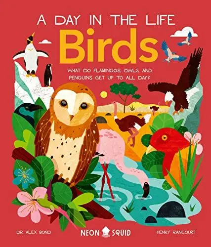 Produktbild: Birds (A Day in the Life): What Do Flamingos, Owls, and Penguins Get Up To All Day?
