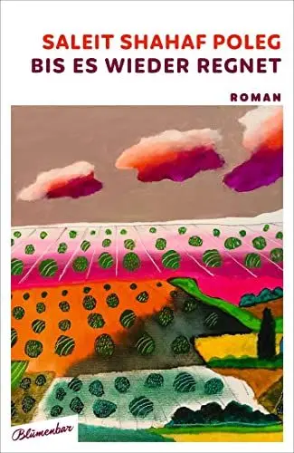 Produktbild: Bis es wieder regnet: Roman