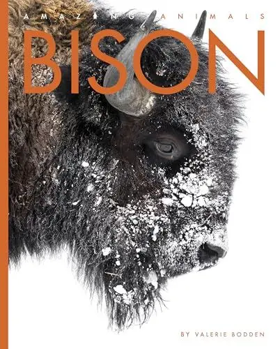 Produktbild: Bison (Amazing Animals)
