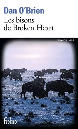 Produktbild: Bisons de Broken Heart
