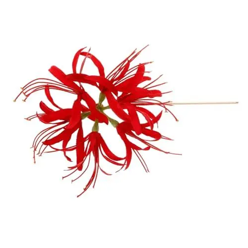Produktbild: BIUDECO Blumenhaarnadel Von Der Anderen Seite Qipao Haarschmuck Chinesisches Hanfu-zubehör Haarstäbchen Aus Metall Chinesische Haarstäbchen Hanfu Haarschmuck Haaranhänger Zinklegierung Rot