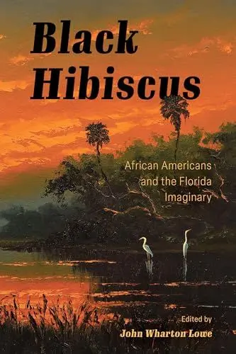 Produktbild: Black Hibiscus: African Americans and the Florida Imaginary