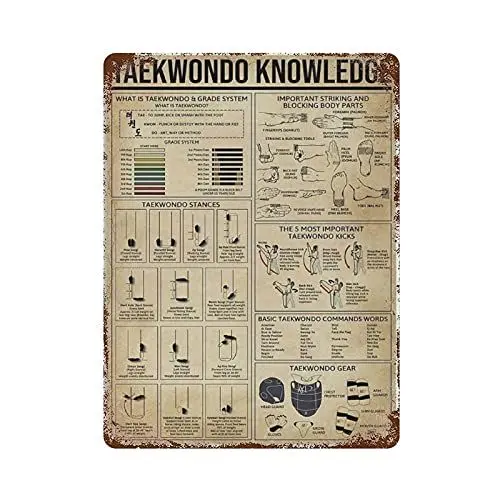Produktbild: QQIAEJIA Blechschild Metallschild Taekwondo Wissen Poster Geschenk für Anfänger Blechschild Bar Heimdekoration Neujahrsschild Eltern, damit Kinder Wissen erlangen können 15,7 &