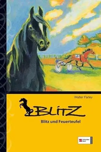 Produktbild: Blitz, Band 09: Blitz und Feuerteufel