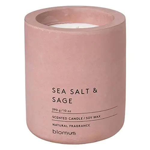 Produktbild: blomus -FRAGA- Duftkerze L aus Sojawachs, Withered Rose, hochwertiger Raumduft, charakteristische Beton-Optik, Duft SEA SALT & SAGE, 55 h Brenndauer (H / B / T: 11 x 9 x 9 cm, Withered Rose, 65656)