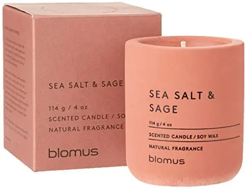 Produktbild: blomus -FRAGA- Duftkerze S aus Sojawachs, Withered Rose, hochwertiger Raumduft, charakteristische Beton-Optik, Duft SEA SALT & SAGE, 24 h Brenndauer (H / B / T: 8 x 6,5 x 6,5 cm, Withered Rose, 65651)