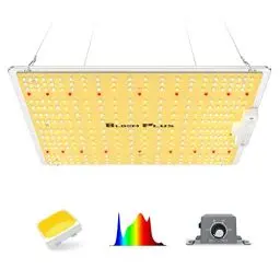 Produktbild: BLOOM PLUS LED Grow Lampe XP1500 Dimmbar LED Pflanzenlampe Vollspektrum LED Grow Light für Zimmerpflanzen Aussaat Gemüsestadium und Blüte Pflanzen anzuchtlampe mit 326pcs Samsung LM301B Dioden