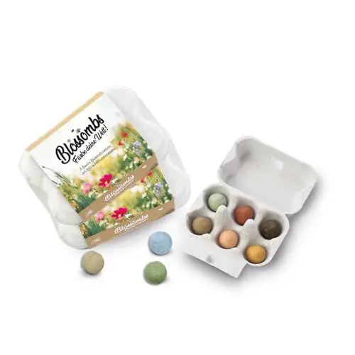 Produktbild: Blossombs Samenbomben - 2 x Eierkarton mit 6 Saatbomben - Blumen Geschenk für Bienen und Schmetterling - Blumensamen