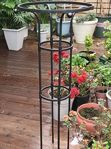 Produktbild: BLSYHDH Garten-Klettergerüst, Gartengitter für Weinreben, Rostfreie Kletterhilfe für Topfpflanzen aus Metall, Blumengitter für die Unterstützung von Gemüse- und Obstreben(#Black/Diameter 28CM)