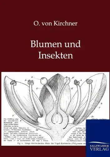 Produktbild: Blumen und Insekten