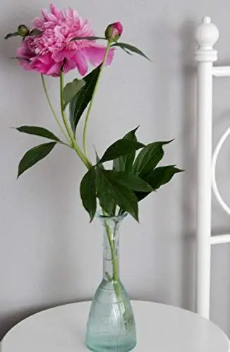Produktbild: Blumenvase Vase Glasvase recyceltem Glas 23 cm hoch Gross Modern schlank Deko - KE -