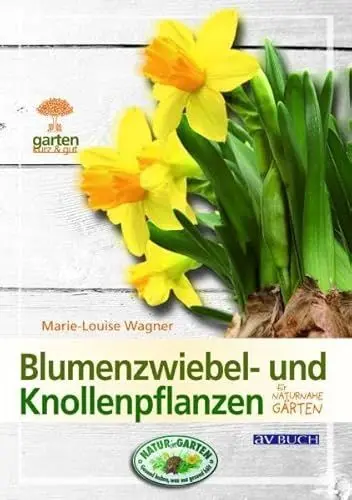 Produktbild: Blumenzwiebel- und Knollenpflanzen: Für naturnahe Gärten (Garten kurz & gut bei avBUCH)