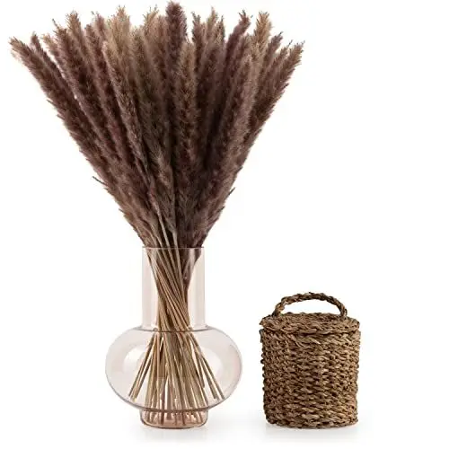 Produktbild: Blumtal Pampasgras Trockenblumen - Pampasgras 50 Stück, 58-60 cm, für Trockenblumenstrauß oder Trockenblumen Deko, Pampasgras Deko Boho Style in Pampasgras naturbraun