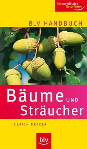 Produktbild: BLV Handbuch Bäume und Sträucher: Der zuverlässige Naturführer