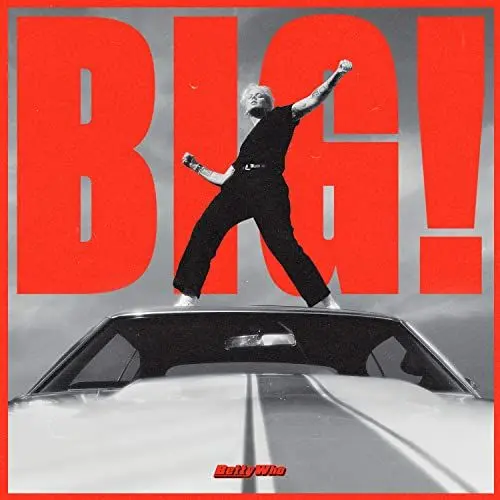Produktbild: BMG RIGHTS MANAGEMENT Big!