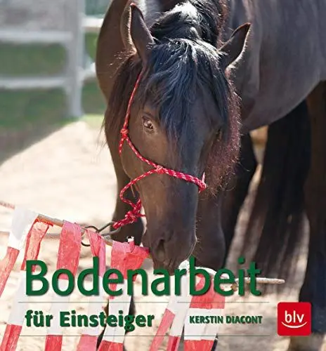 Produktbild: Bodenarbeit für Einsteiger