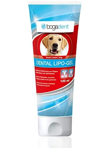 Produktbild: Bogadent Dental-Lipo Gel - Natürliche Hunde Zahnpflege für eine bessere Mundhygiene - Hundezahnpasta gegen Zahnstein & Mundgeruch - Zahngel Hund - 100 ml - UBO0707