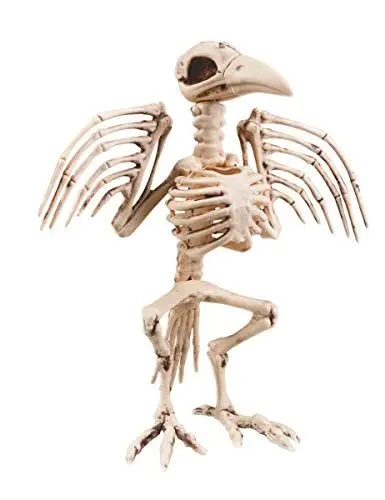 Produktbild: Boland 72094 - Deko-Figur Krähenskelett, Größe circa 32 cm, Vogel-Skelett, Dekoration für Halloween, Grusel-Party, Karneval, Mottoparty
