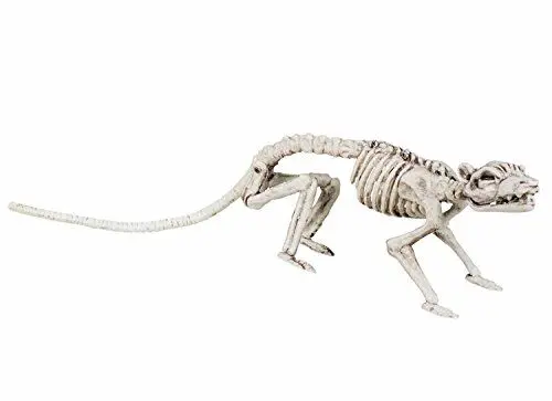 Produktbild: Boland 72155 - Dekoration Ratten-Skelett, Größe 35 cm, Weiß, Halloween-Deko, Mottoparty, Party, Karneval