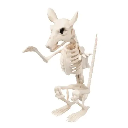 Produktbild: Boland 72404 - Ratten-Skelett, Größe 18 cm, beweglicher Mund, Attrappe aus Kunststoff, Ratte, Dekoration für Halloween, Karneval oder Mottoparty