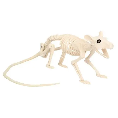 Produktbild: Boland 72407 - Ratten-Skelett, Größe 46 cm, beweglicher Mund, Ratte, Attrappe aus Kunststoff, Dekoration für Halloween, Karneval oder Mottoparty