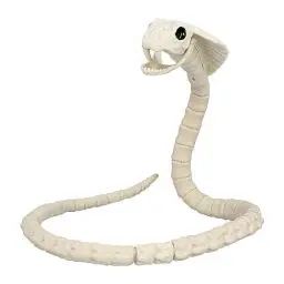 Produktbild: Boland 72417 - Schlangen-Skelett, Größe 102 cm, Attrappe aus Kunststoff, Schlange, Boa, Snake, Dekoration für Halloween, Karneval oder Mottoparty, Beige-schwarz