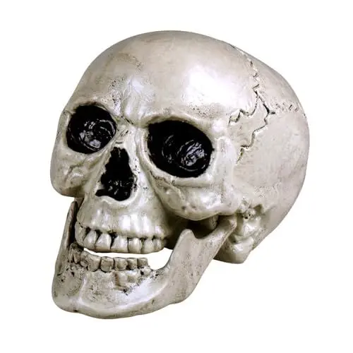 Produktbild: Boland 74362 - Totenkopf Maxilla mit beweglichem Gebisss, Größe ca. 17 x 15 cm, Schädel, Knochen, Dekoration, Halloween, Horror, Party, Karneval