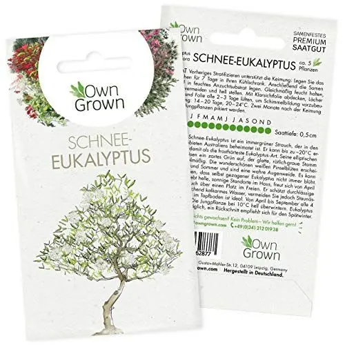 Produktbild: Bonsai Baum Samen Schnee Eukalyptus: Premium Schnee Eukalyptus Samen für 5 Bonsai Pflanzen winterhart – Bonsai Samen für den Mini Garten – Eukalyptus Pflanze Saatgut – Bonsai winterhart von OwnGrown