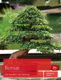 Produktbild: Bonsai: Für draußen und drinnen (BLV Pflanzenpraxis)