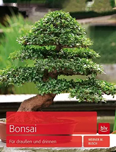 Produktbild: Bonsai: Für draußen und drinnen (BLV Pflanzenpraxis)