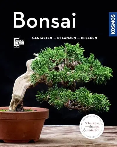 Produktbild: Bonsai (Mein Garten): Gestalten Pflanzen Pflegen