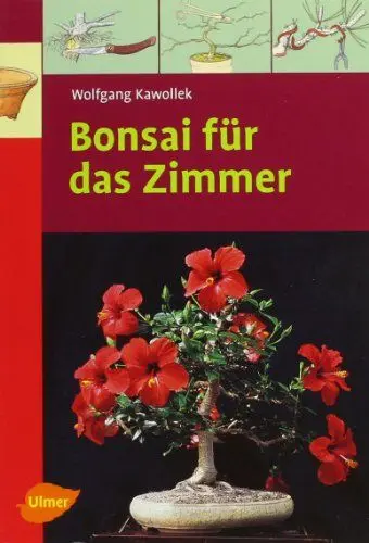 Produktbild: Bonsai für das Zimmer