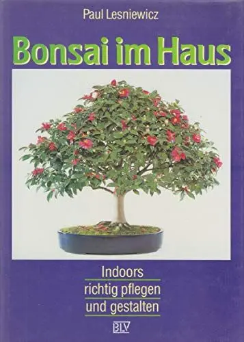 Produktbild: Bonsai im Haus