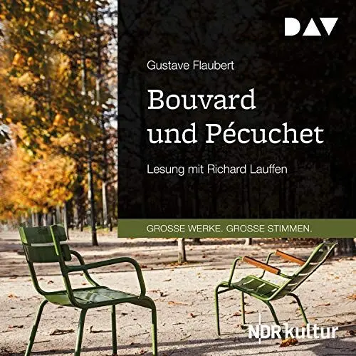 Produktbild: Bouvard und Pécuchet
