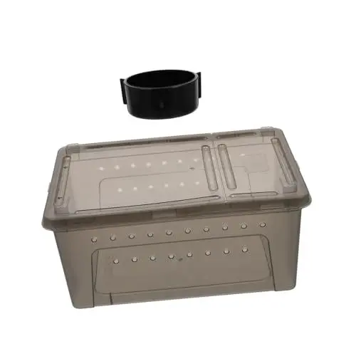 Produktbild: Box Reptilienfutterbox Tier Reptilienöl Reptilienterrarium Schneckenterrarium Terrarien Schildkrötenbecken Zubehör Reptilienkoffer Reptilienbedarf Reptilienbehälter Haustierbedarf Kisangel