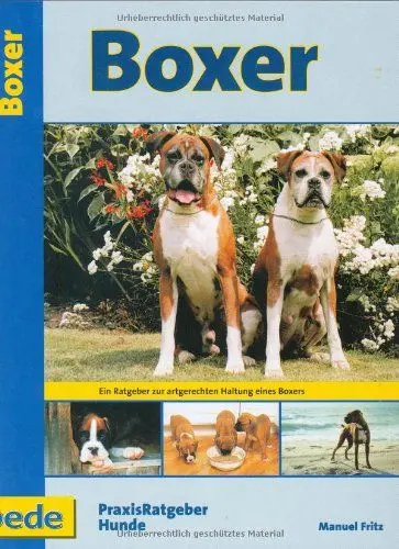 Produktbild: Boxer, Praxisratgeber