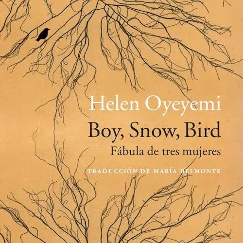 Produktbild: Boy, Snow, Bird. Fábula de tres mujeres