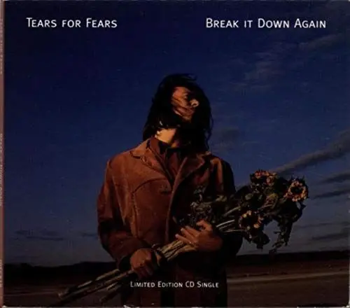 Produktbild: Break It Down Again
