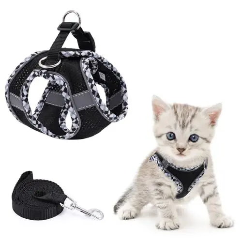 Produktbild: Brifit Katzengeschirr Ausbruchsicher, Verstellbares Katzengeschirr mit Leine Set, Katzenleine mit Geschirr für Katzen mit Reflektierenden Streifen, Katzen Softgeschirr (XXS) Anwendbares Gewicht: 2-3kg