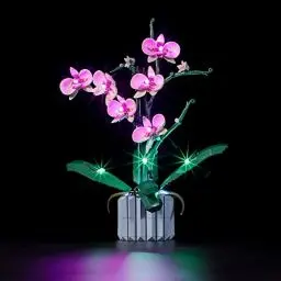 Produktbild: BRIKSMAX 10311 Led Licht für Lego Orchidee - Compatible with Lego Creator Expert Bausteinen Modell - Ohne Lego Set