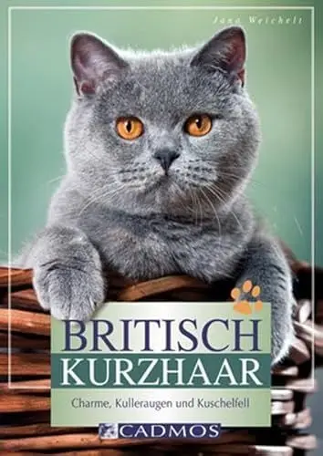 Produktbild: Britisch Kurzhaar: Charme, Kulleraugen und Kuschelfell (Cadmos Heimtierpraxis)